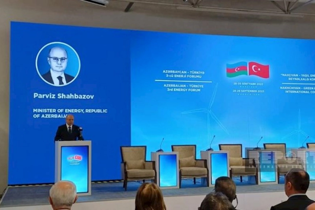Yeni reallıqlarda Naxçıvanın potensialı strateji əhəmiyyət daşıyır — Pərviz Şahbazov