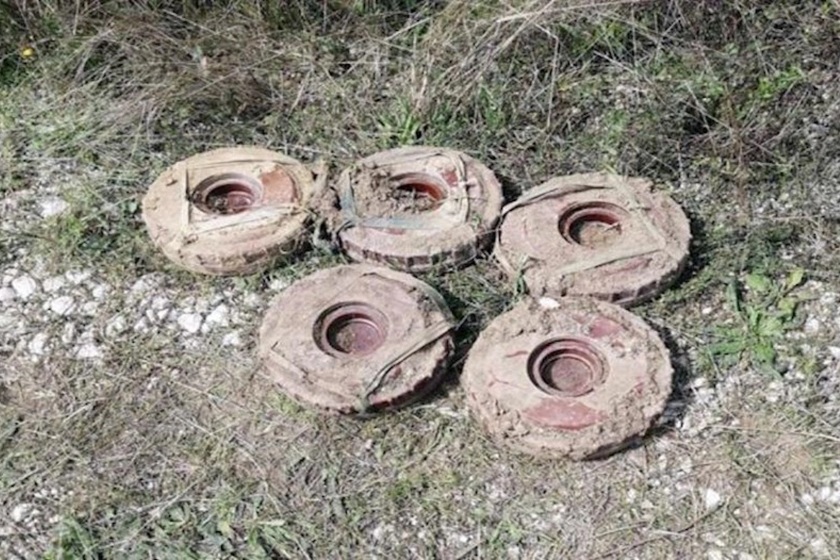 Azad olunmuş ərazilərdə ötən həftə 293 mina aşkarlanıb — VİDEO