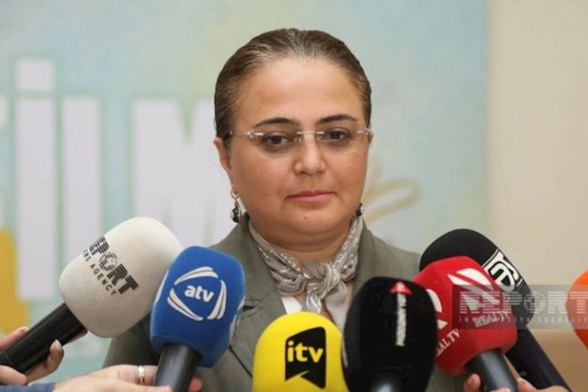Azərbaycanda animasiya məktəbləri yaradılacaq