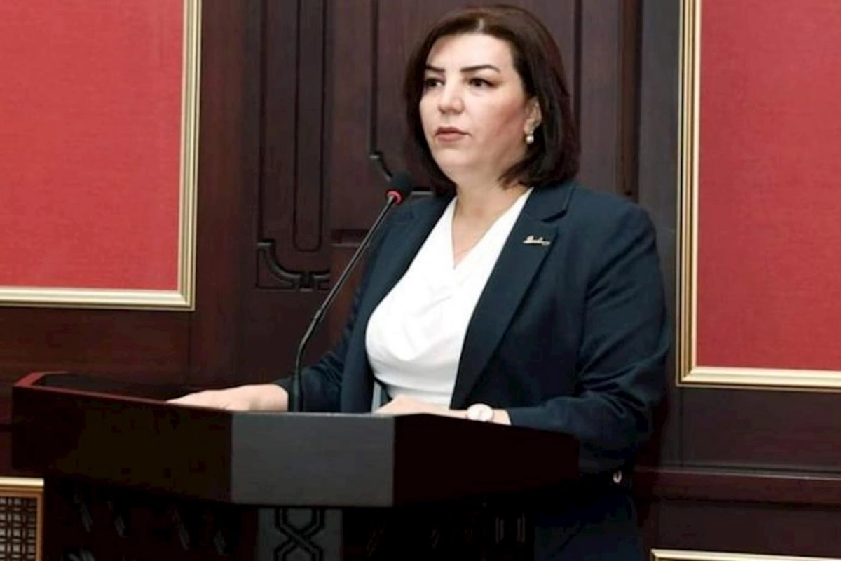 İcra Hakimiyyəti başçısının müavini işdən çıxarıldı