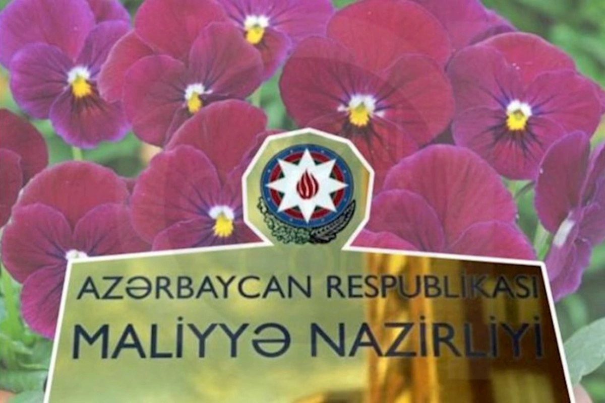 Baba Rzayevin qohumları Maliyyə Nazirliyinə olmayan gül növü satır? — TƏFƏRRÜAT