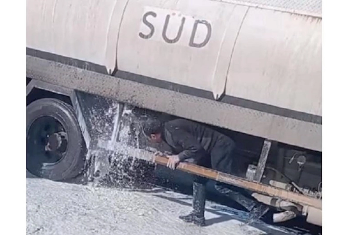 Azərbaycanda qəribə hadisə: Yüzlərlə litr süd yola axdı — VİDEO
