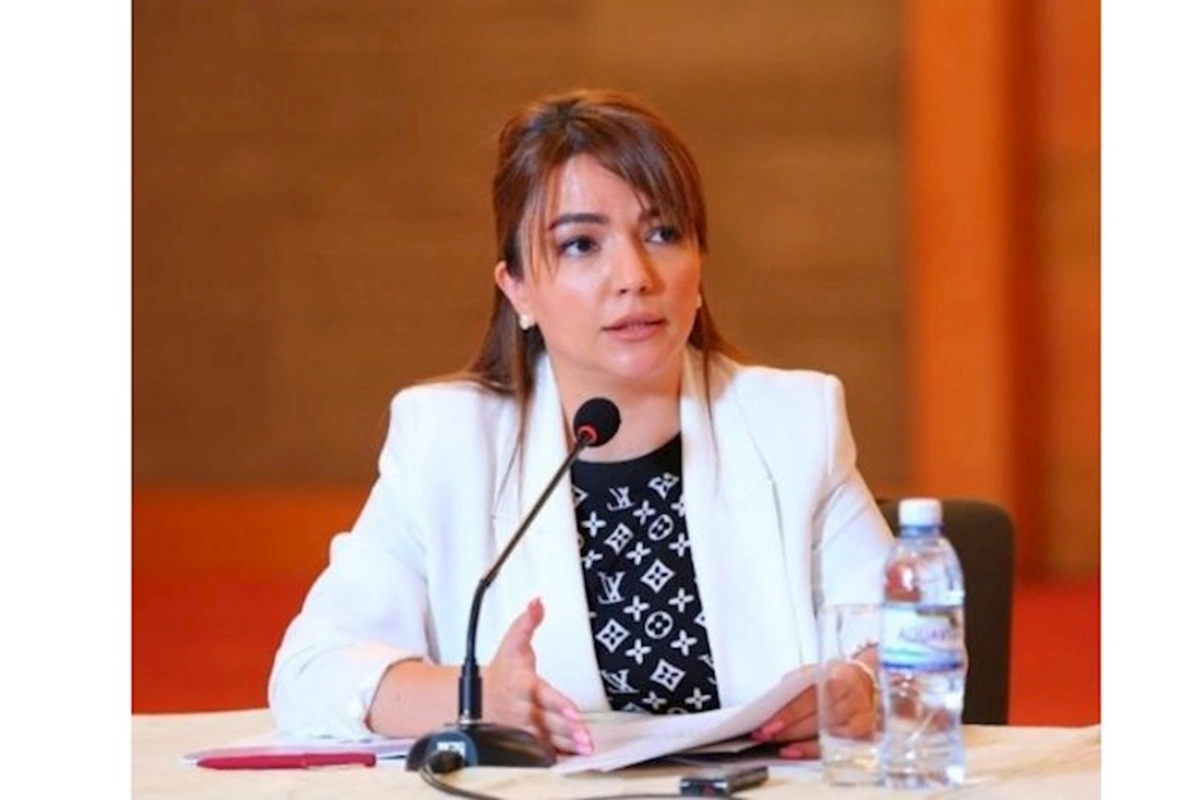 “Mart ayında xüsusi qrant müsabiqəsi elan edilə bilər”