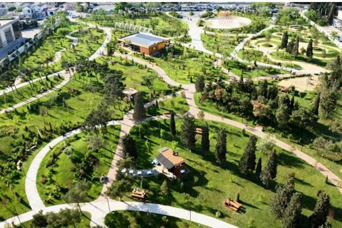 Bakıda adambaşına düşən yaşıllıq 8 m2-ə çatdırılacaq — Baş Plan