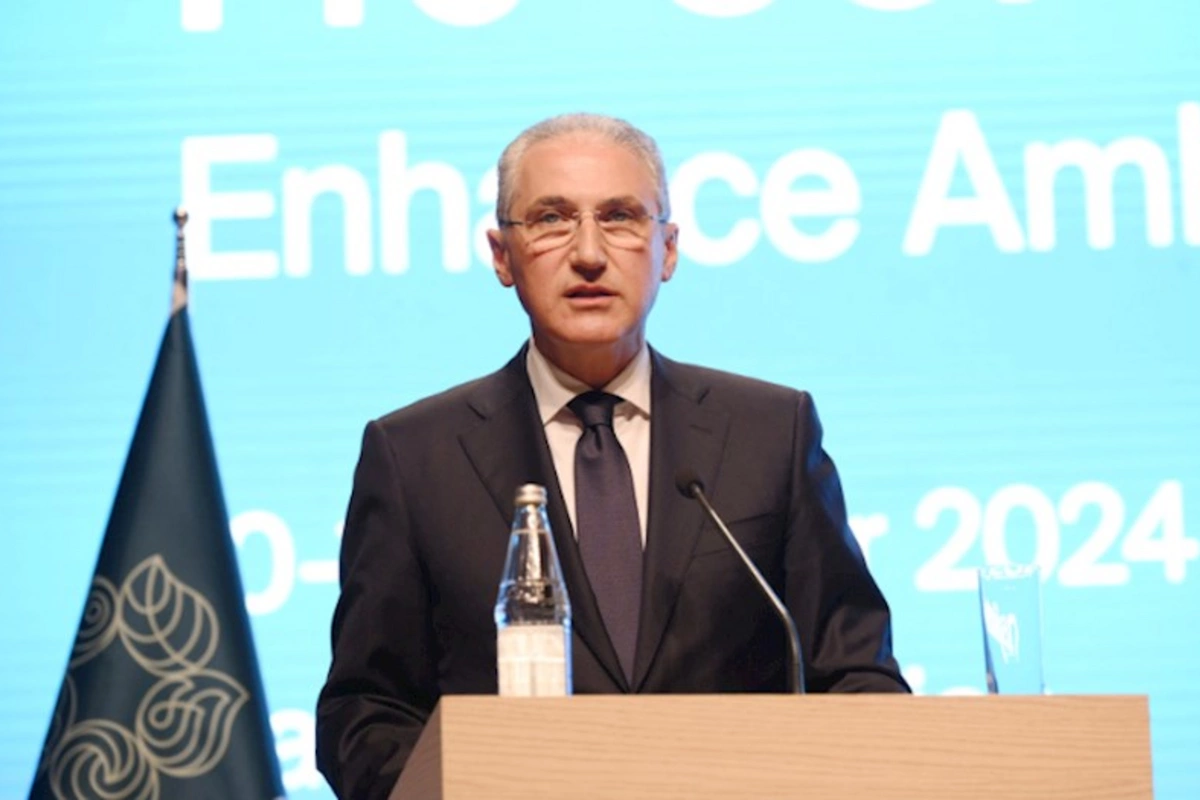 COP29 çərçivəsində İnsan İnkişafı Günü keçiriləcək