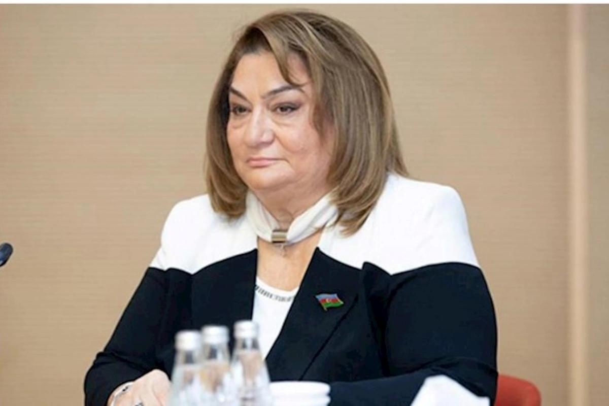 Komitə sədri: “Suyun şırhaşır axması ona maddi problem yaratsaydı, açıq saxlamazdı”