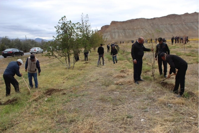 Ordubad rayonunda genişmiqyaslı ağacəkmə aksiyasına start verilib — FOTOLAR Ordubad rayonunda genişmiqyaslı ağacəkmə aksiyasına start verilib — FOTOLAR