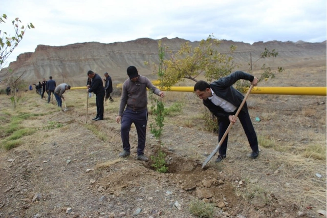 Ordubad rayonunda genişmiqyaslı ağacəkmə aksiyasına start verilib — FOTOLAR Ordubad rayonunda genişmiqyaslı ağacəkmə aksiyasına start verilib — FOTOLAR