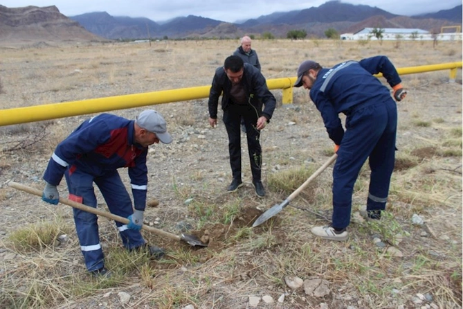 Ordubad rayonunda genişmiqyaslı ağacəkmə aksiyasına start verilib — FOTOLAR Ordubad rayonunda genişmiqyaslı ağacəkmə aksiyasına start verilib — FOTOLAR
