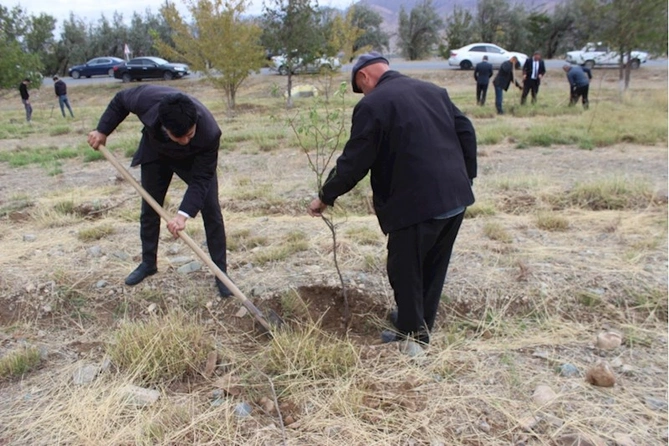 Ordubad rayonunda genişmiqyaslı ağacəkmə aksiyasına start verilib — FOTOLAR Ordubad rayonunda genişmiqyaslı ağacəkmə aksiyasına start verilib — FOTOLAR