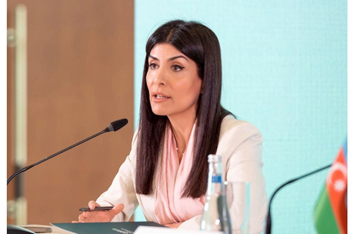 “COP29 Azərbaycanı daha böyük müzakirələrin iştirakçısına çevirəcək” — VİDEO