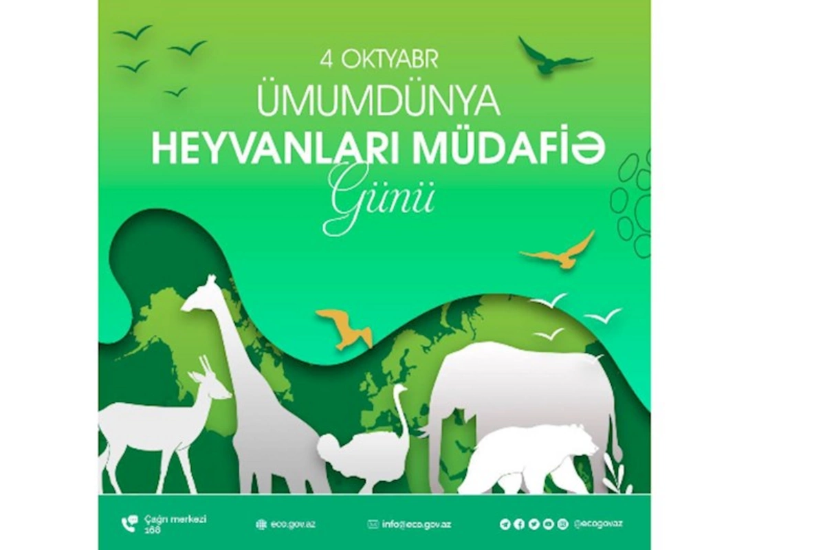 Xidmət rəisi: Respublikamızda heyvanların mühafizəsi üçün davamlı işlər görülür (FOTO)