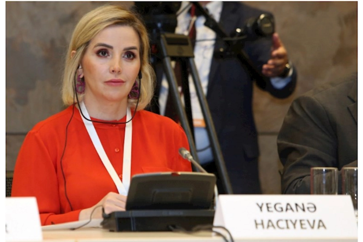 QHT sektoru COP29 çərçivəsində problemlərin həlli istiqamətində konsepsiya ortaya qoyur
