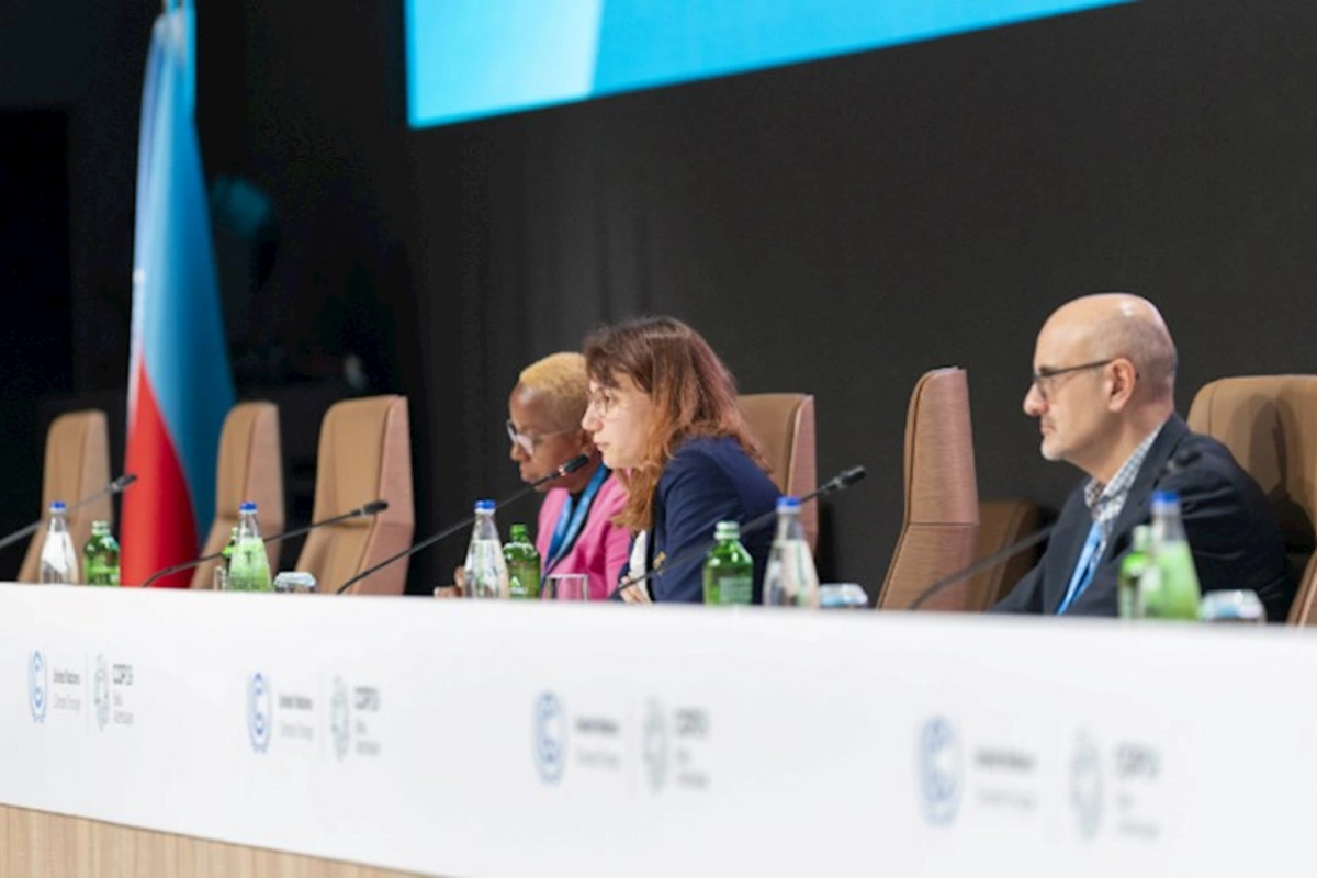 COP29 qlobal iqlim konfransı ərəfəsində nümayəndə heyətləri üçün logistik brifinq təşkil edilib — FOTOLAR