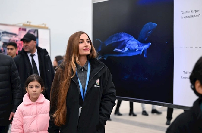 Leyla Əliyeva maket balinanı ziyarət edib — FOTOLAR Leyla Əliyeva maket balinanı ziyarət edib — FOTOLAR