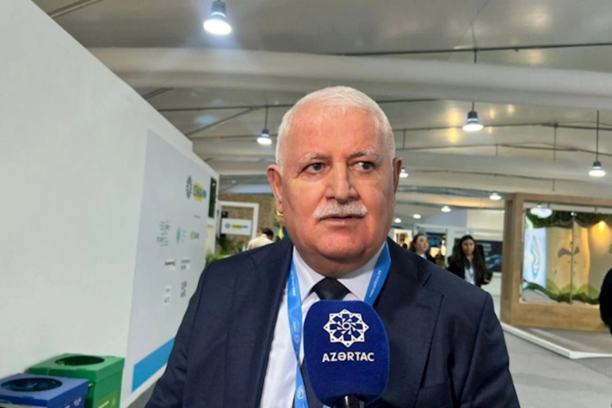 BAMF-in prezidenti: Qlobal iqlim böhranının qarşısının alınmasında QHT-lərin rolu vacibdir