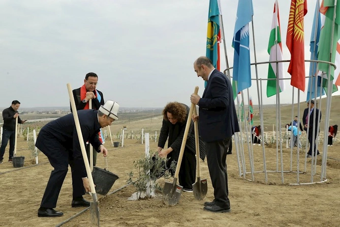 Türk dövlətləri milli ağaclandırma günü“ münasibətilə ölkə ərazisində 111 min 111 ağac əkilib Türk dövlətləri milli ağaclandırma günü“ münasibətilə ölkə ərazisində 111 min 111 ağac əkilib