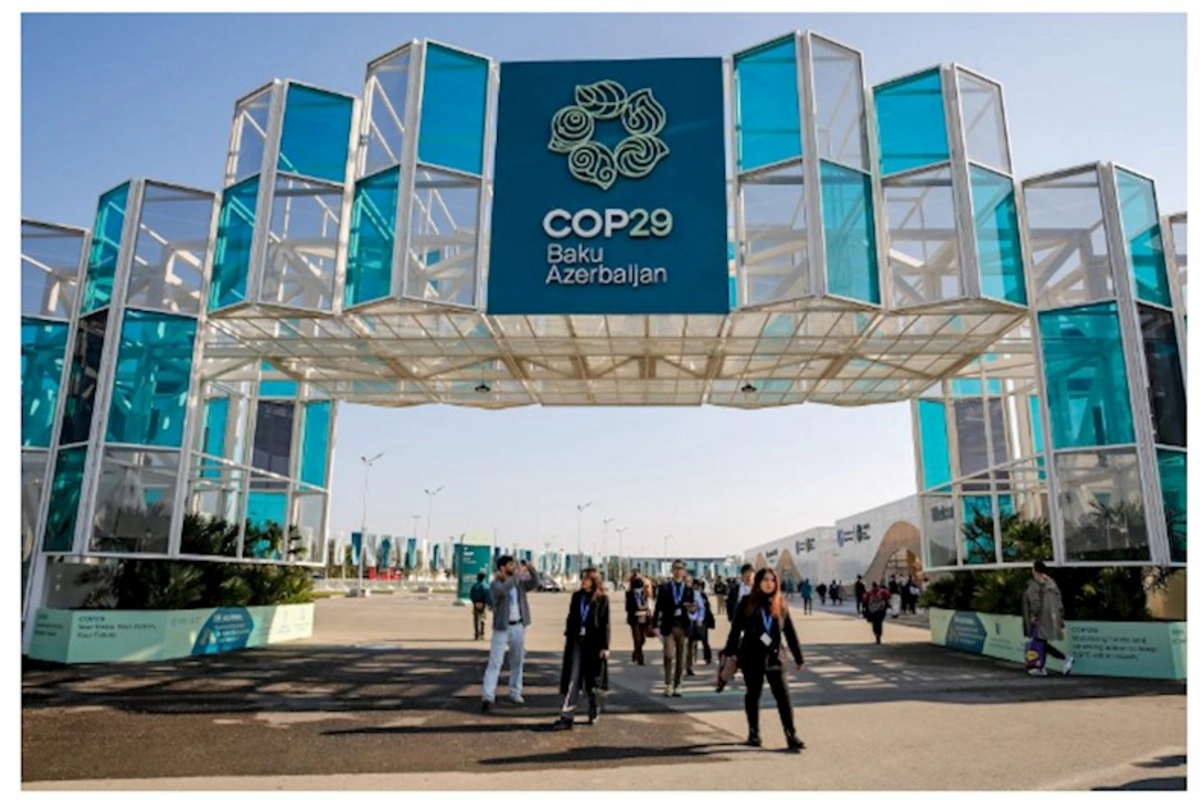 COP29-un ikinci günü: Mavi Zona tədbirlərinə start verildi — VİDEO