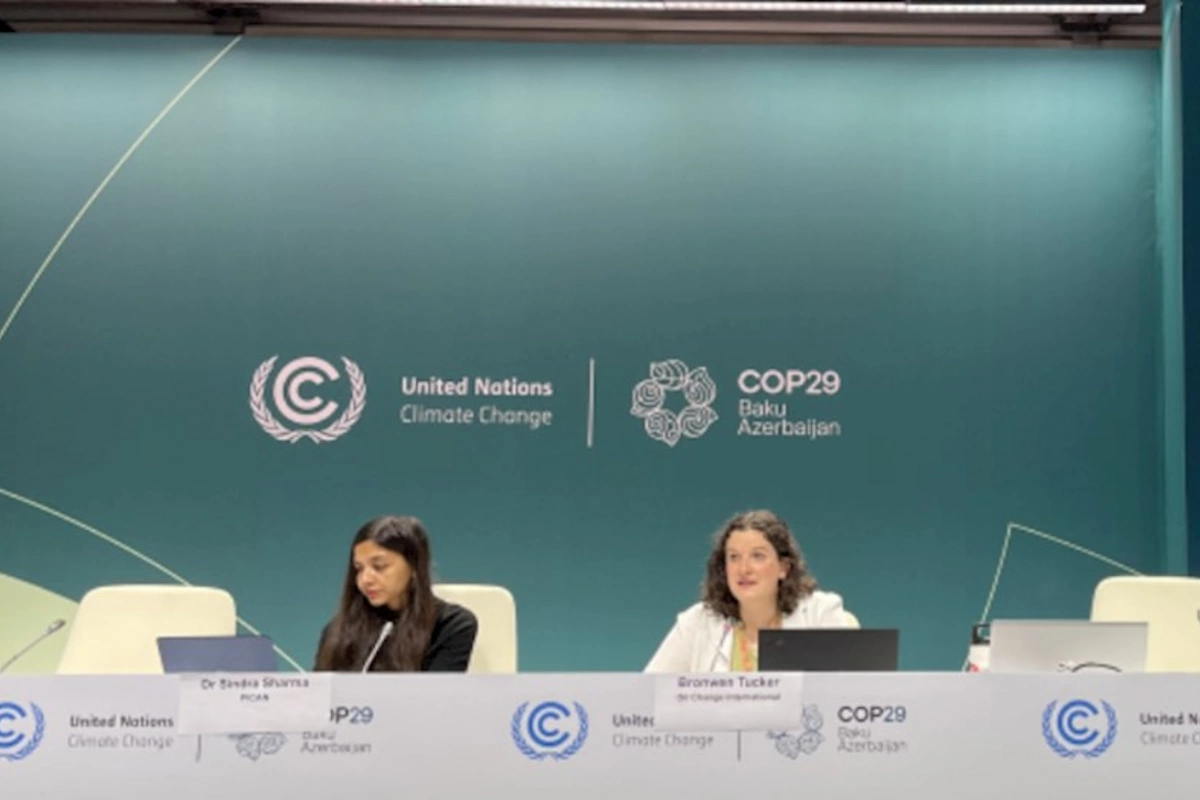 COP29-da neft hasilatının ətraf mühitə təsiri tendensiyasının dəyişməsi mövzusu müzakirə olunub