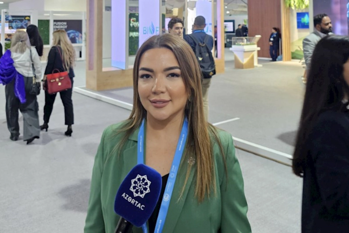 COP29-a görə 10 minə yaxın QHT nümayəndəsi ölkəmizə gələcək