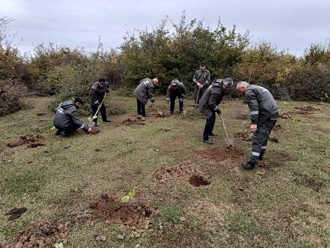 Tətil və bayram günlərində meşə fondu torpaqlarında 195 min ağac əkilib — FOTOLAR Tətil və bayram günlərində meşə fondu torpaqlarında 195 min ağac əkilib — FOTOLAR