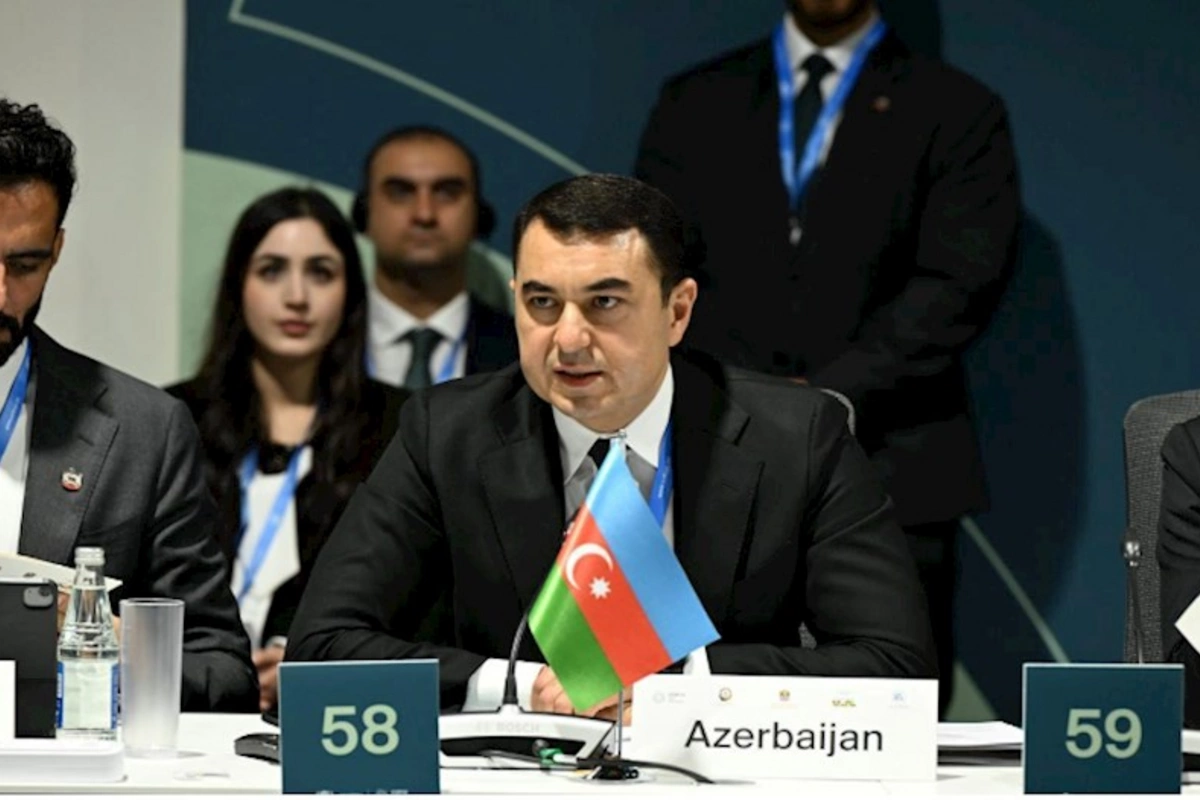 COP29 çərçivəsində Mədəniyyət Nazirlərinin 2-ci Yüksək Səviyyəli Görüşü keçirilib