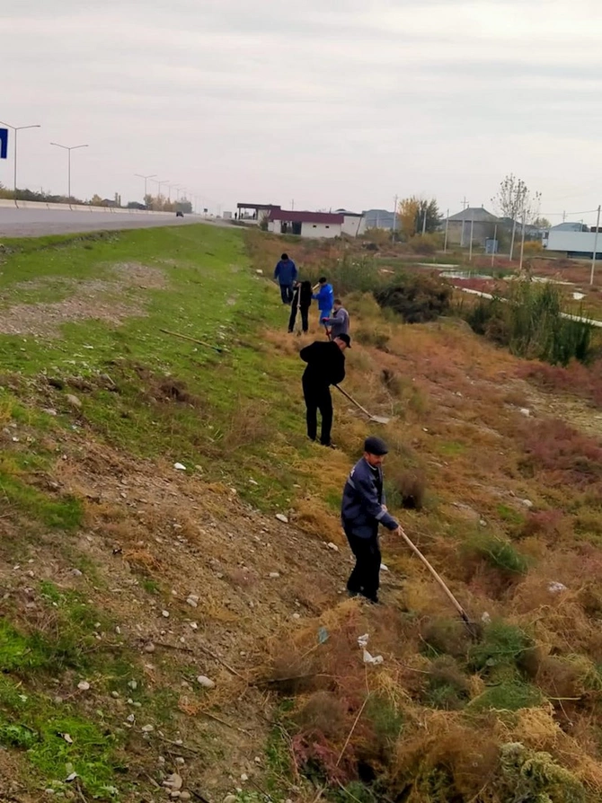 “Yaşıl dünya naminə həmrəylik ili” çərçivəsində təmizlik aksiyası Hacıqabul rayonunda keçirilib — FOTOLAR