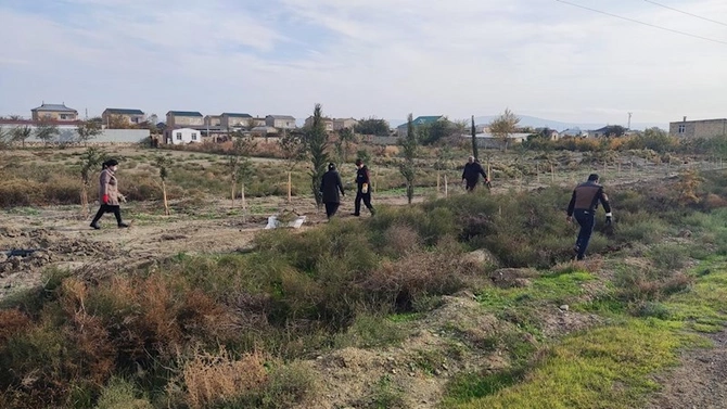 “Yaşıl dünya naminə həmrəylik ili” çərçivəsində təmizlik aksiyası Hacıqabul rayonunda keçirilib — FOTOLAR
