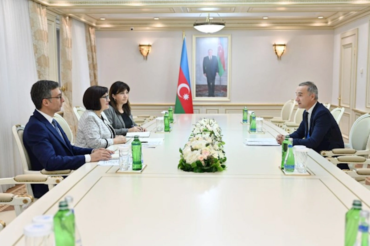 Sahibə Qafarova ATƏT PA-nın vitse-prezidenti ilə görüşüb — FOTOLAR