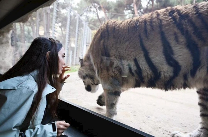 Leyla Əliyeva Bakı zooparkından paylaşım etdi — FOTOLAR