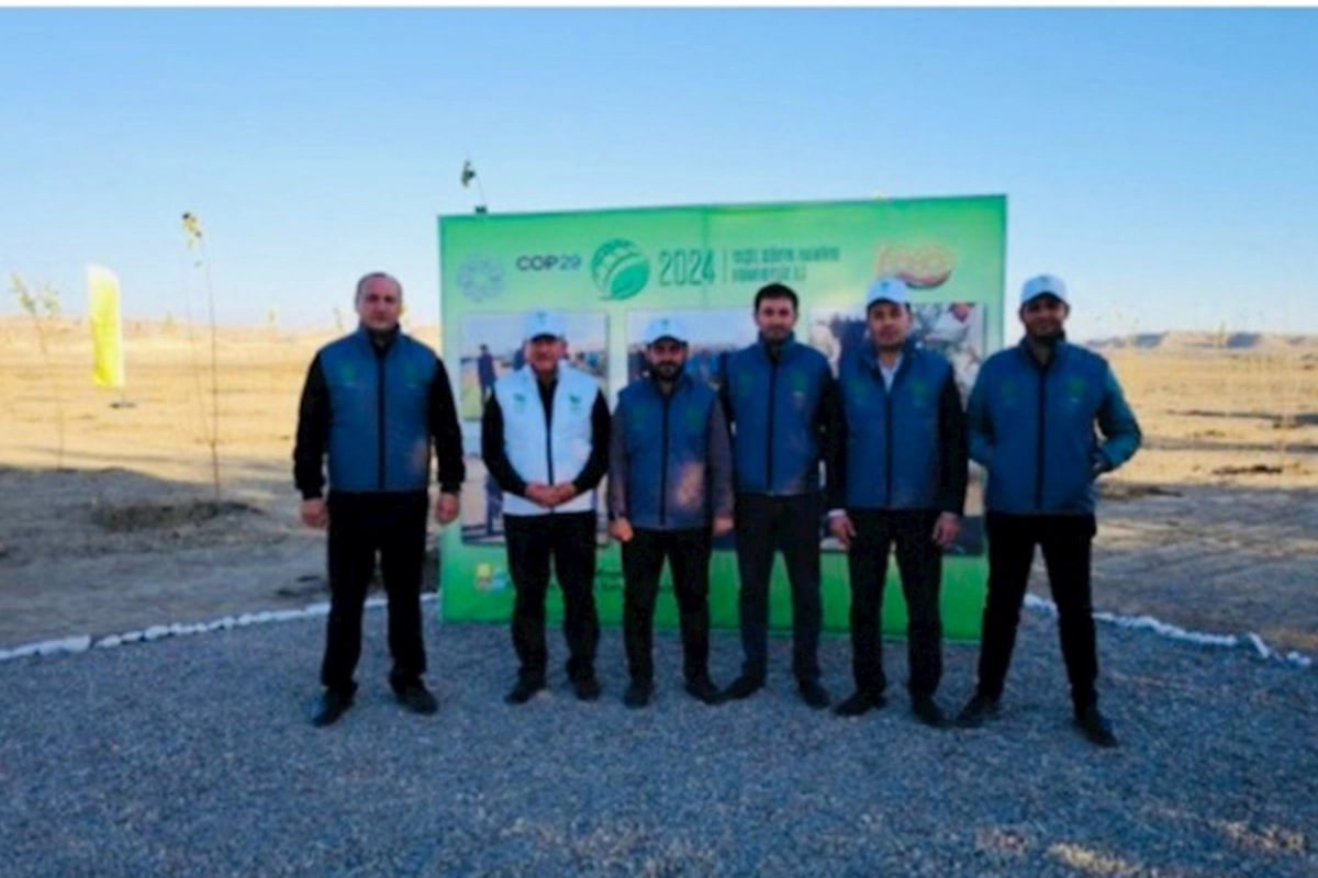 “Qala Sığorta” Naxçıvanda ağacəkmə aksiyasına qoşulub — FOTOLAR