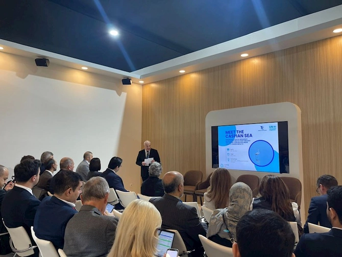 COP29-da Xəzərin sahilyanı ərazilərinin dayanıqlığı və biomüxtəlifliyin qorunması müzakirə olundu — FOTOLAR
