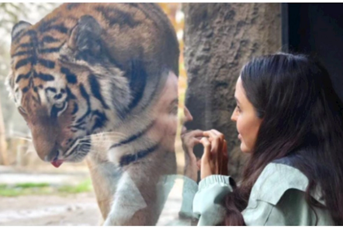 Leyla Əliyeva Bakı zooparkından paylaşım etdi — FOTOLAR