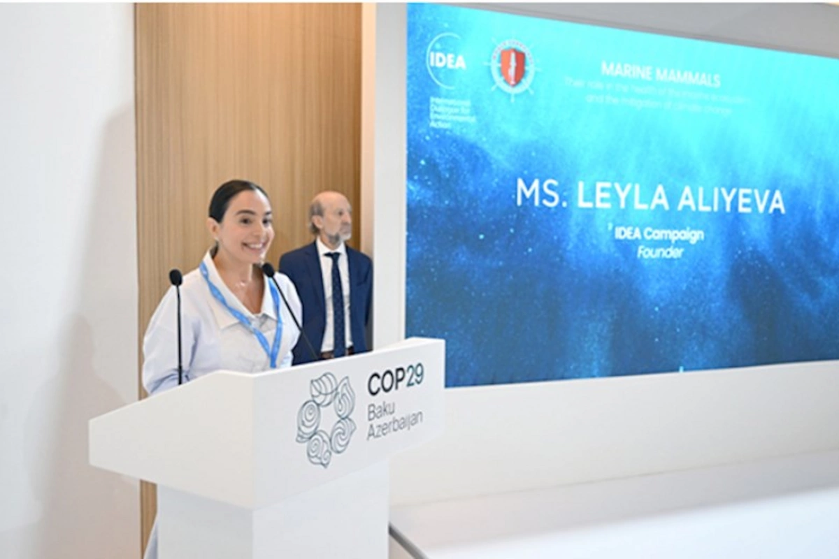 Leyla Əliyeva COP29 çərçivəsində müzakirələrdə iştirak etdi — FOTOLAR