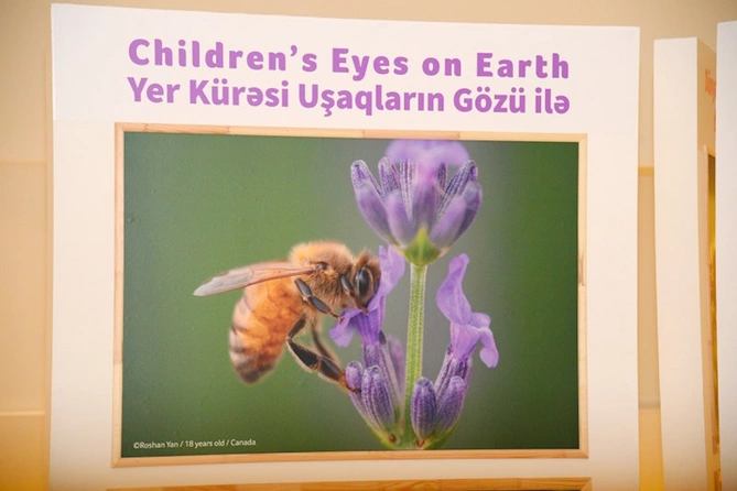 Leyla və Arzu Əliyevalar sərgidə — FOTOLAR (VİDEO)