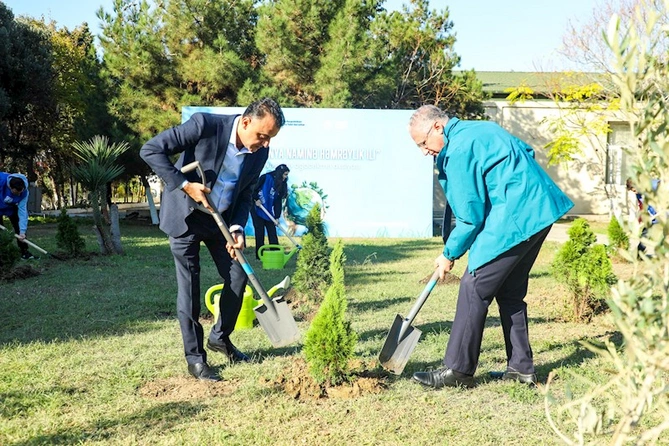TƏBİB-in müəssisələri ağacəkmə aksiyalarına start verdi — FOTOLAR