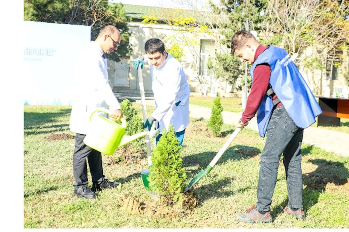 TƏBİB-in müəssisələri ağacəkmə aksiyalarına start verdi — FOTOLAR
