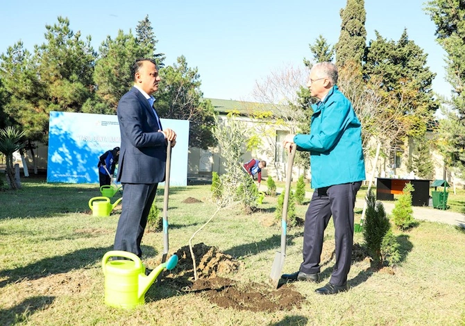 TƏBİB-in müəssisələri ağacəkmə aksiyalarına start verdi — FOTOLAR