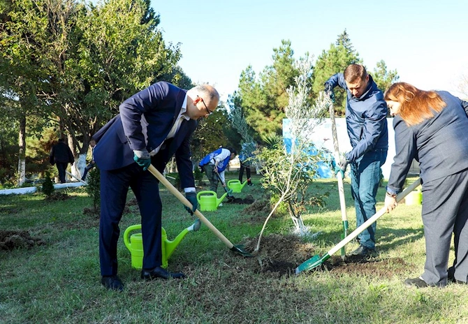 TƏBİB-in müəssisələri ağacəkmə aksiyalarına start verdi — FOTOLAR