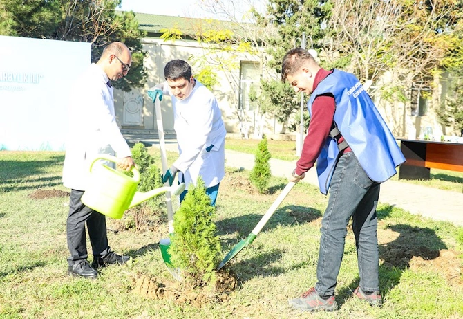 TƏBİB-in müəssisələri ağacəkmə aksiyalarına start verdi — FOTOLAR