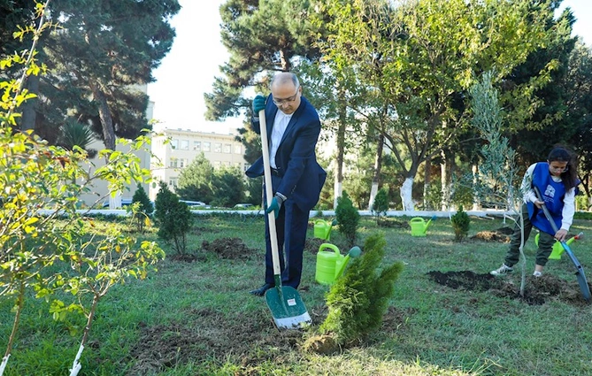 TƏBİB-in müəssisələri ağacəkmə aksiyalarına start verdi — FOTOLAR