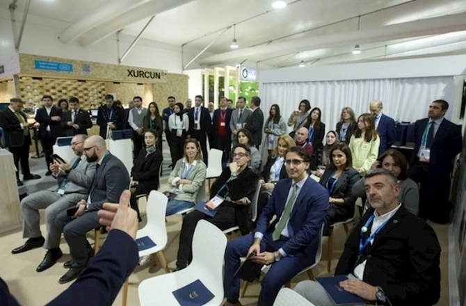 COP29 çərçivəsində nərə körpələri Kür çayına buraxılıb — FOTOLAR