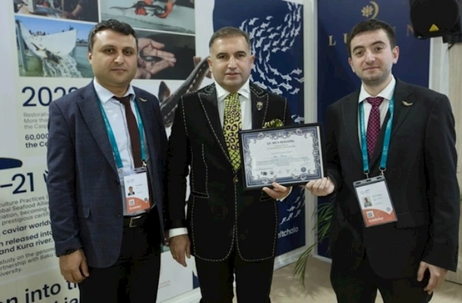 COP29 çərçivəsində nərə körpələri Kür çayına buraxılıb — FOTOLAR