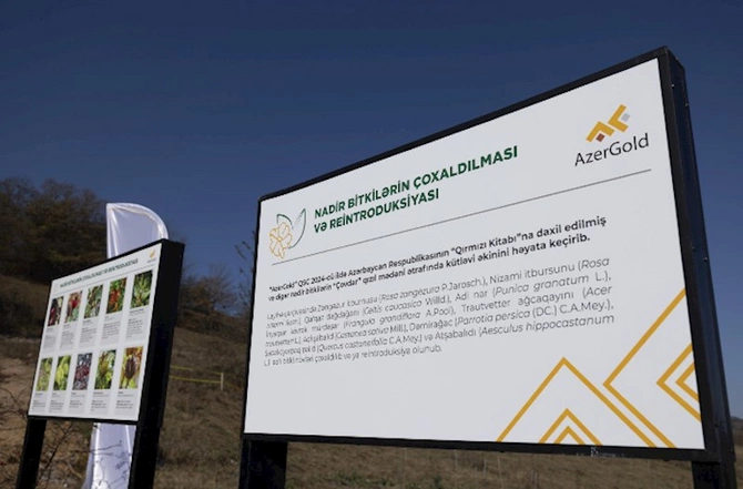 “AzerGold”dan daha bir uğurlu layihə — FOTOLAR