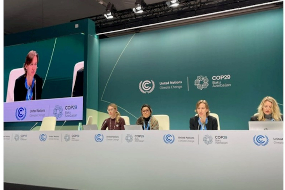 COP29 platformasında mətbuat konfransları keçirilib