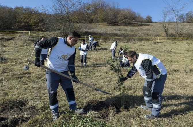 “AzerGold”dan daha bir uğurlu layihə — FOTOLAR