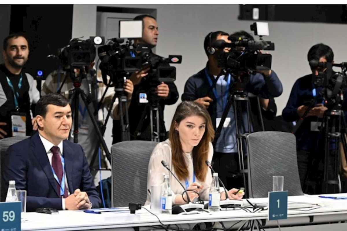 COP29: Ekoloji təmiz nəqliyyat vasitələrinin dövriyyəsi stimullaşdırılacaq — FOTO