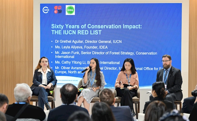 Leyla Əliyeva COP29-da nadir canlıların mühafizəsinə həsr olunan panel müzakirələrində — FOTOLAR Leyla Əliyeva COP29-da nadir canlıların mühafizəsinə həsr olunan panel müzakirələrində — FOTOLAR