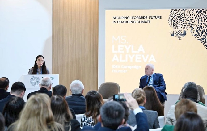 Leyla Əliyeva COP29 çərçivəsində bəbirlərin mühafizəsinə həsr olunmuş tədbirdə çıxış edib — FOTOLAR Leyla Əliyeva COP29 çərçivəsində bəbirlərin mühafizəsinə həsr olunmuş tədbirdə çıxış edib — FOTOLAR