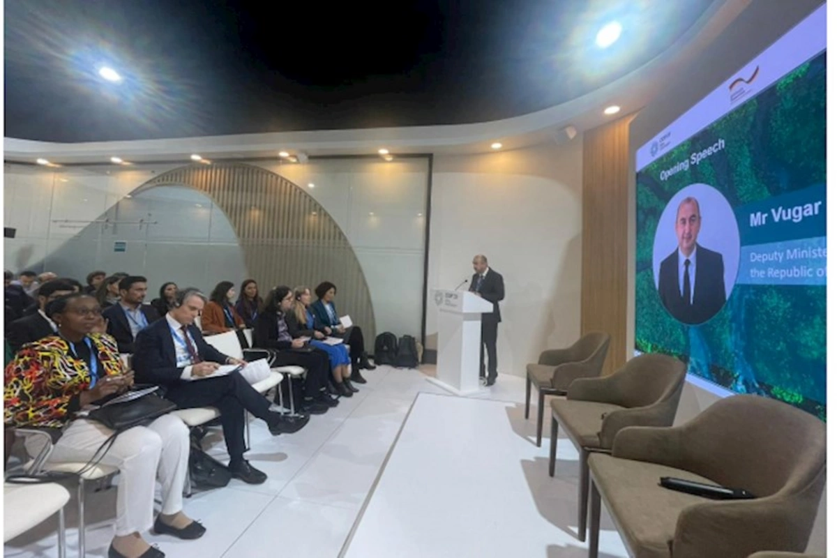COP29-da iqlim dəyişikliyinin transsərhəd su resurslarına təsiri ilə bağlı məqsəd və hədəflər müzakirə edilib — FOTOLAR